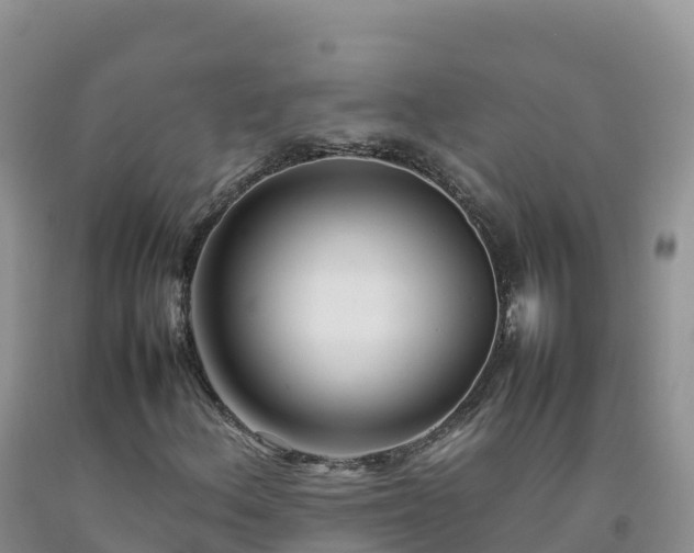 X0000092091156200709191240