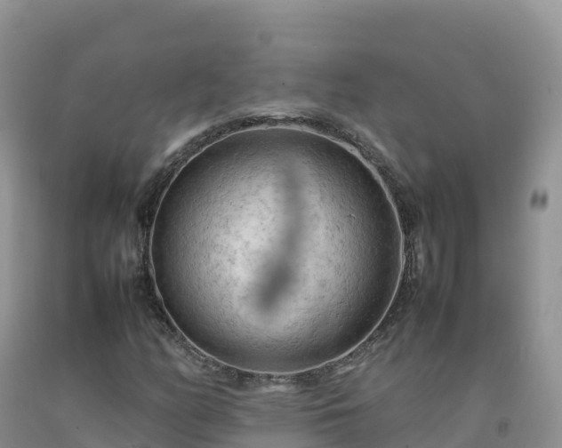 X0000092091158200709191240