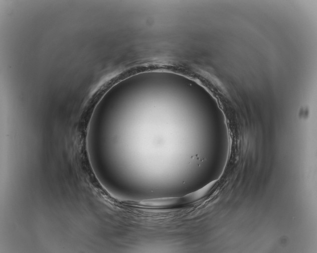 X0000092091160200709191240