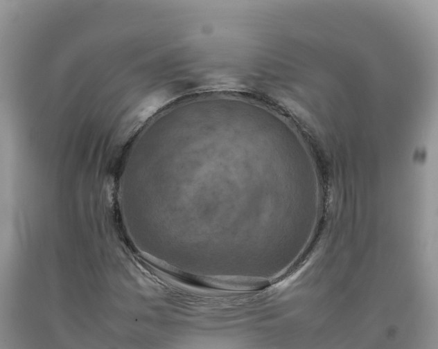 X0000092091161200709191240