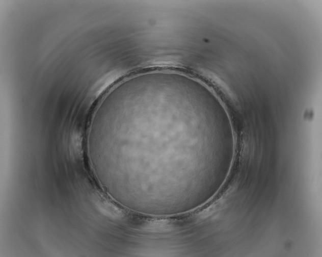 X0000092091162200709191240