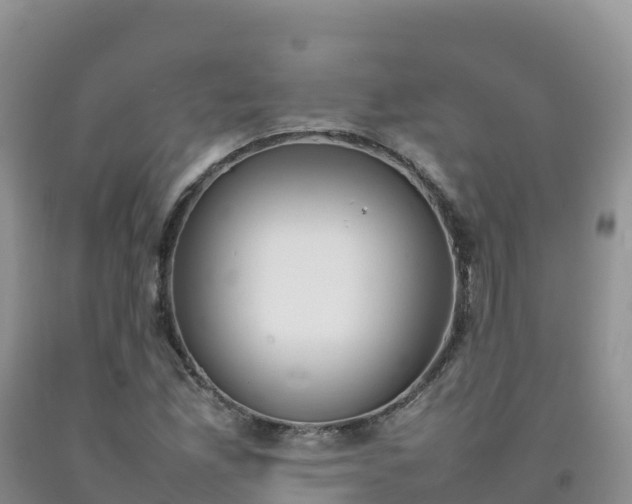 X0000092091165200709191239