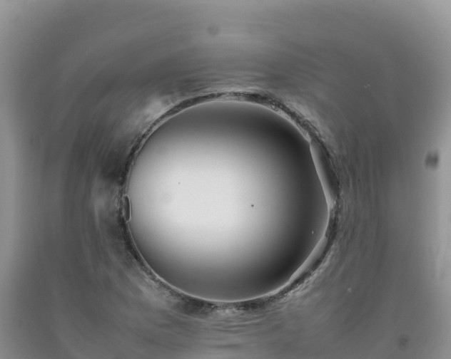 X0000092091169200709191239
