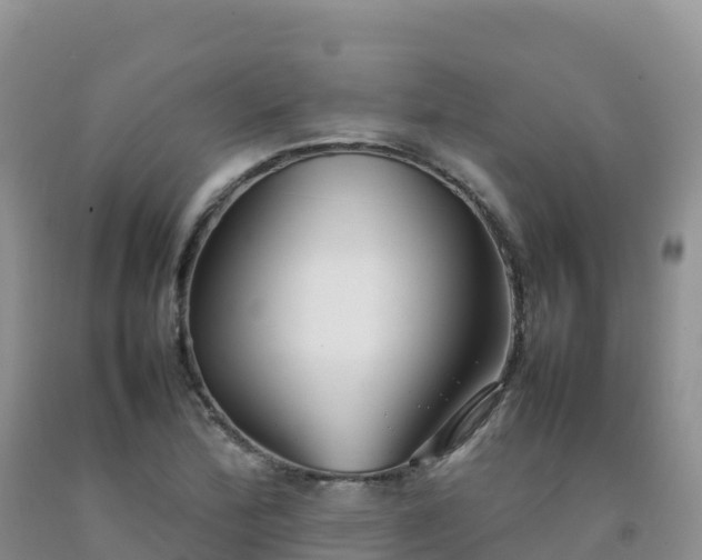 X0000092091172200709191239