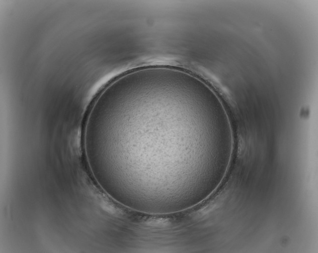 X0000092091174200709191239