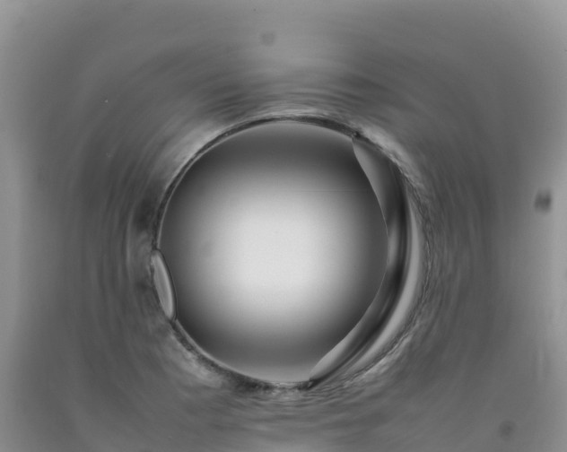X0000092091177200709191239
