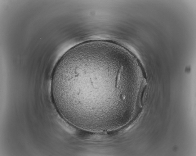 X0000092091179200709191239