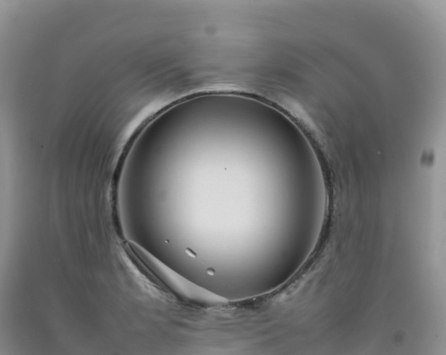 X0000092091181200709191239