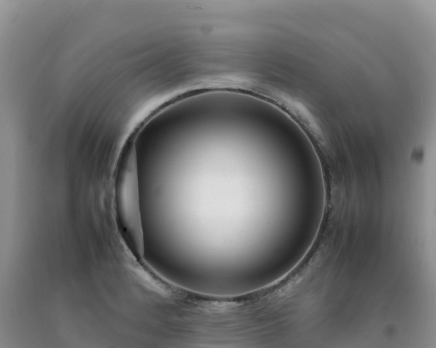X0000092091184200709191239
