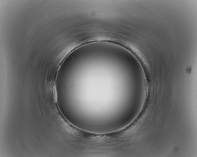 X0000092091185200709191239