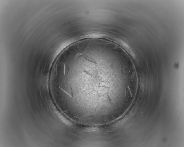 X0000092091186200709191239