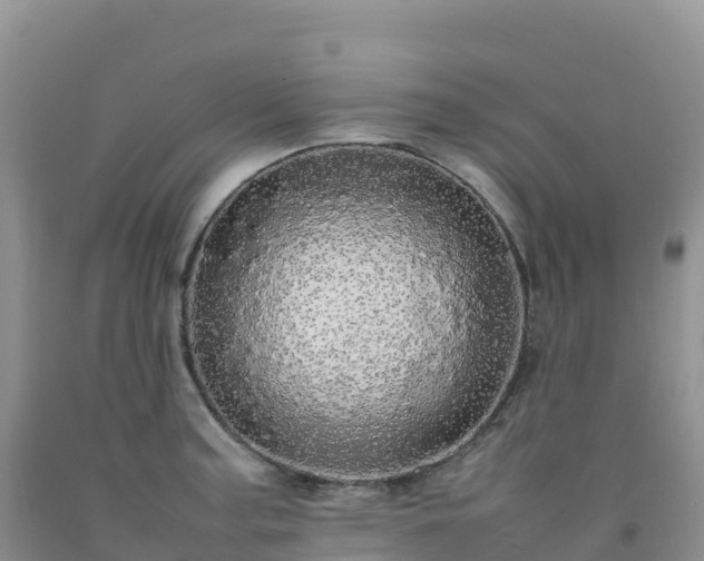 X0000092091187200709191239