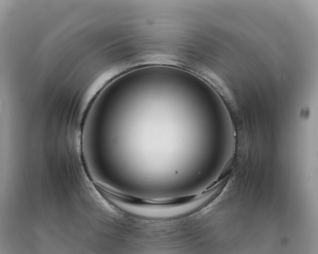 X0000092091188200709191239