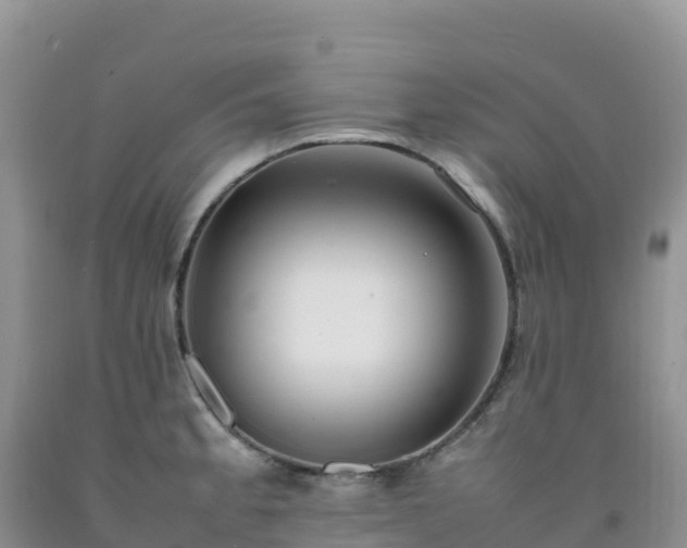 X0000092091189200709191239