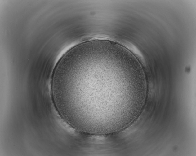 X0000092091190200709191239