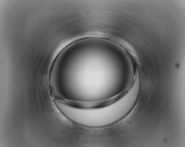 X0000092091192200709191239