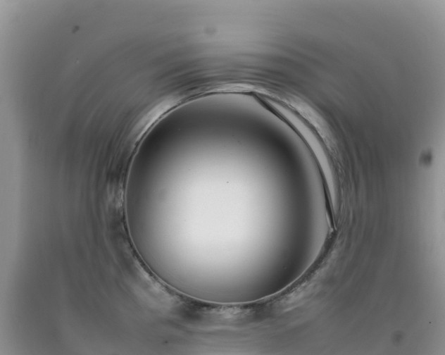 X0000092091193200709191239