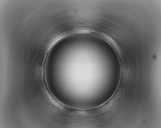 X0000092091194200709191239