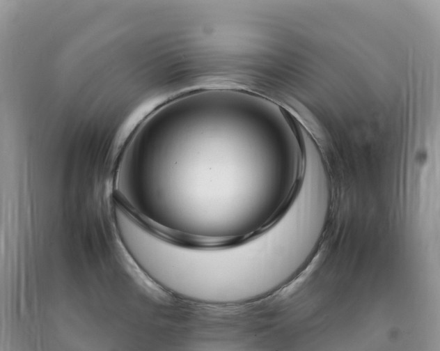 X0000092091196200709191239
