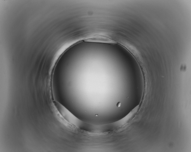 X0000092091200200709191239