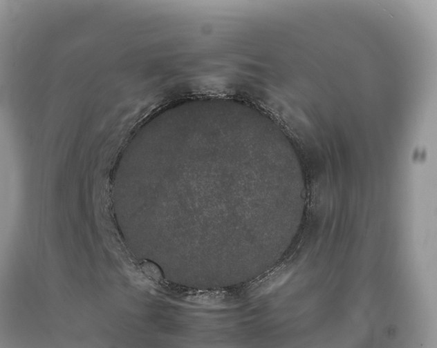 X0000092091201200709191238