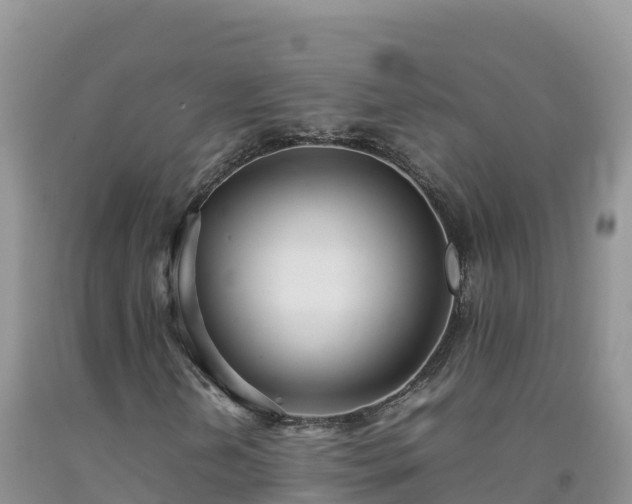 X0000092091202200709191238