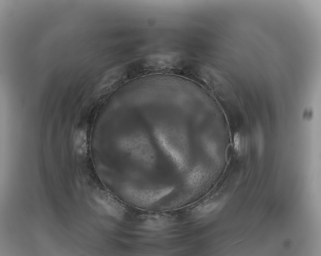 X0000092091203200709191238