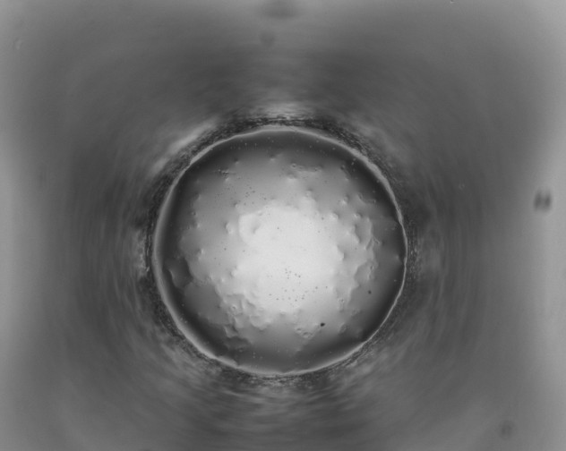 X0000092091205200709191238