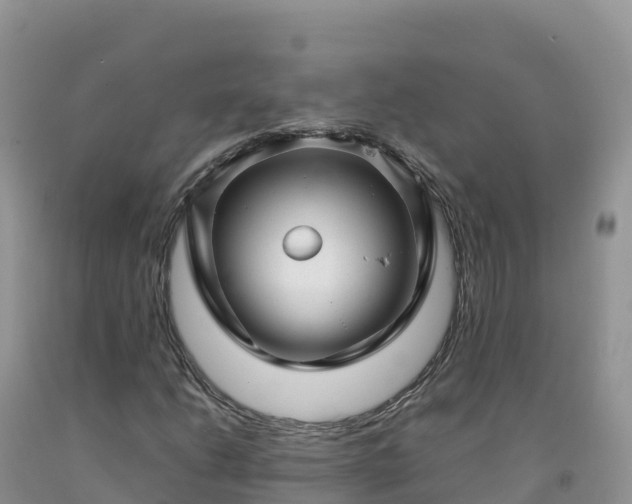 X0000092091206200709191238