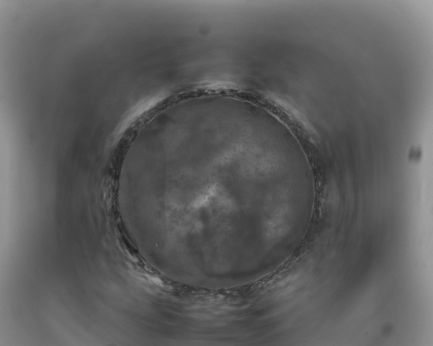 X0000092091207200709191238