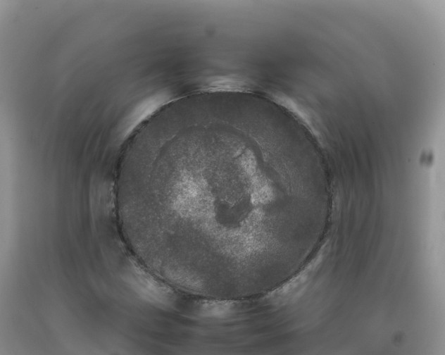 X0000092091211200709191238