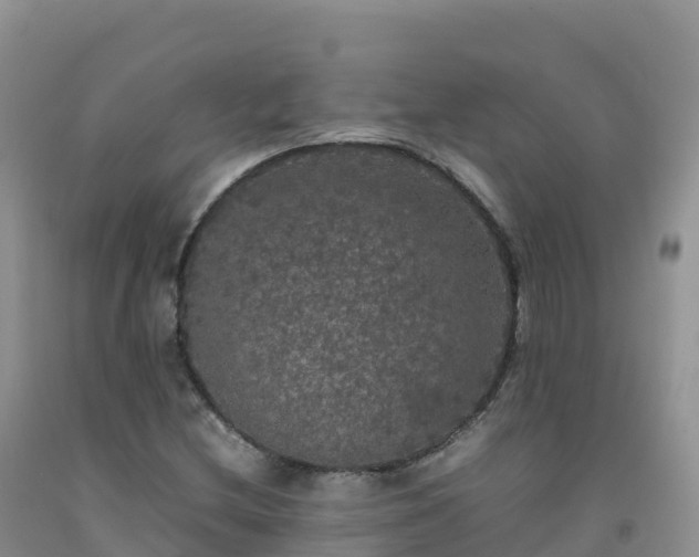 X0000092091212200709191238