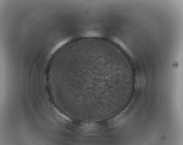 X0000092091213200709191238