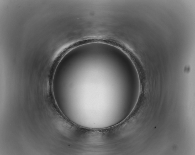 X0000092091214200709191238