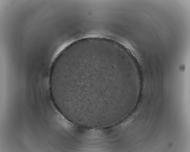 X0000092091216200709191238