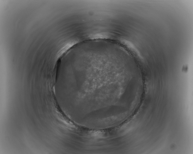 X0000092091217200709191238