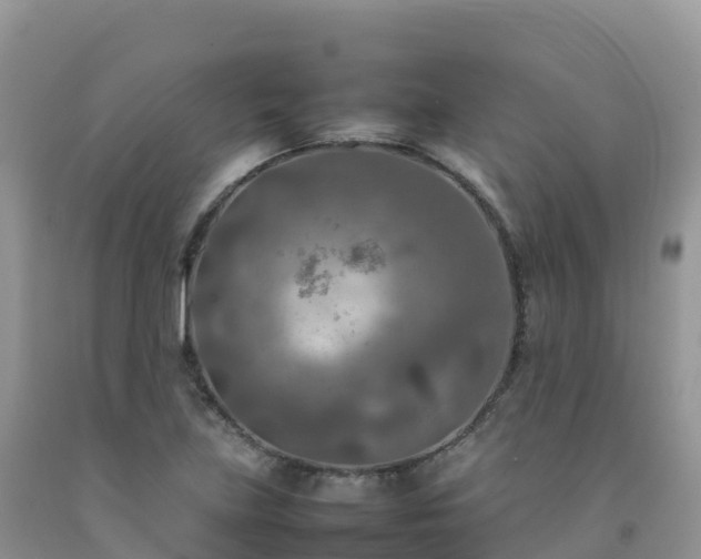X0000092091219200709191239