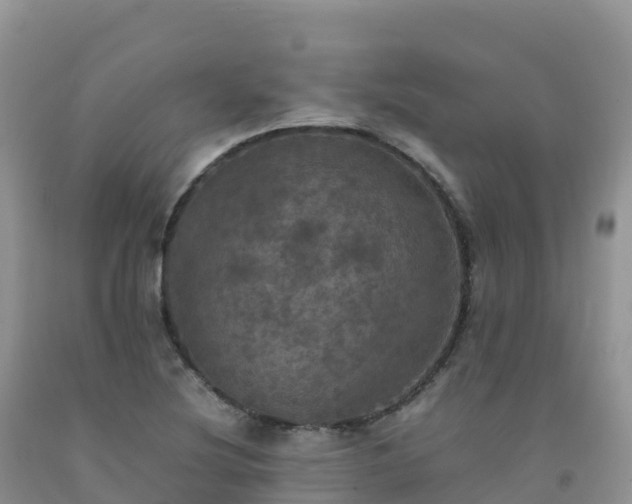 X0000092091220200709191239