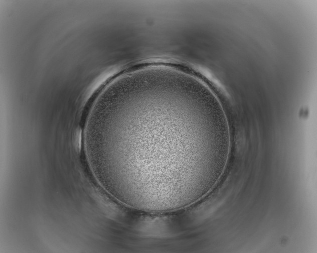 X0000092091221200709191239