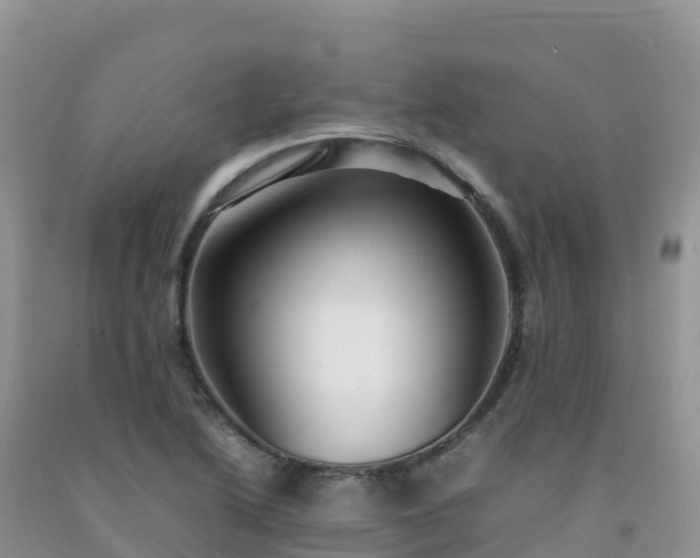 X0000092091222200709191239