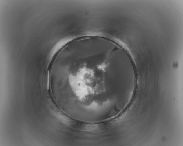 X0000092091223200709191239