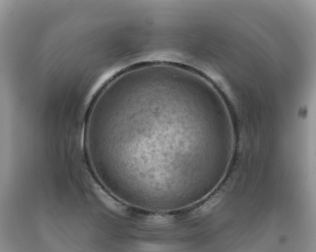 X0000092091224200709191239