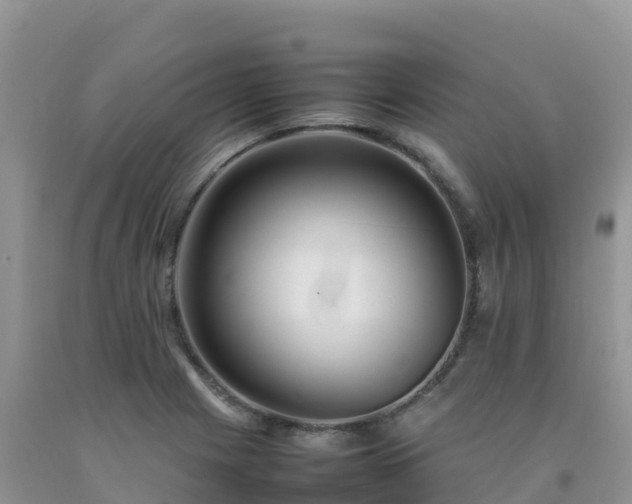 X0000092091225200709191239