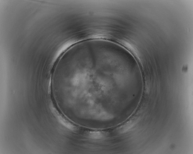 X0000092091227200709191239