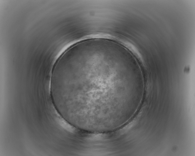X0000092091228200709191239