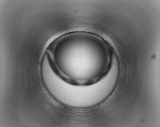 X0000092091230200709191239