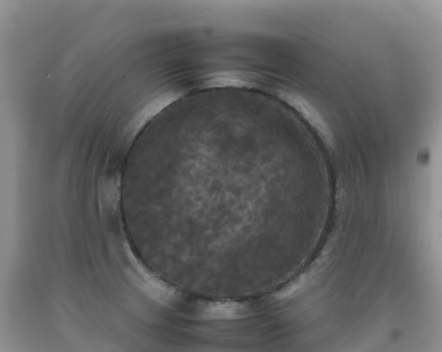X0000092091233200709191239