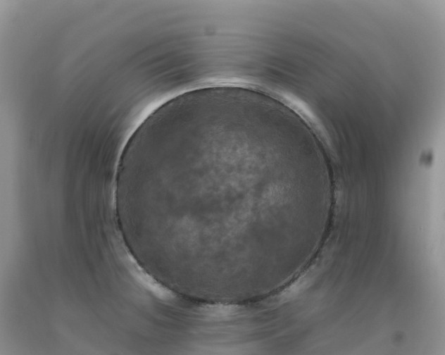 X0000092091236200709191239