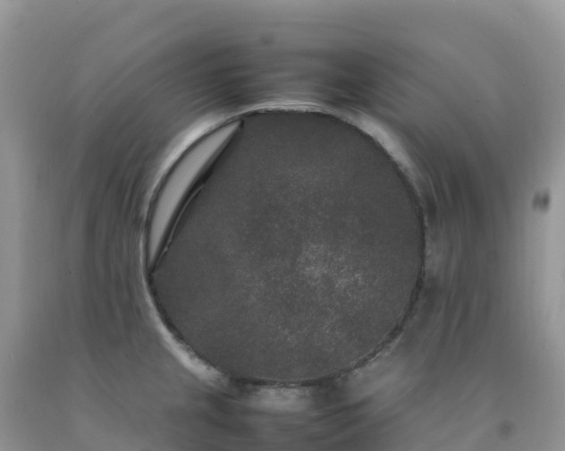 X0000092091237200709191239