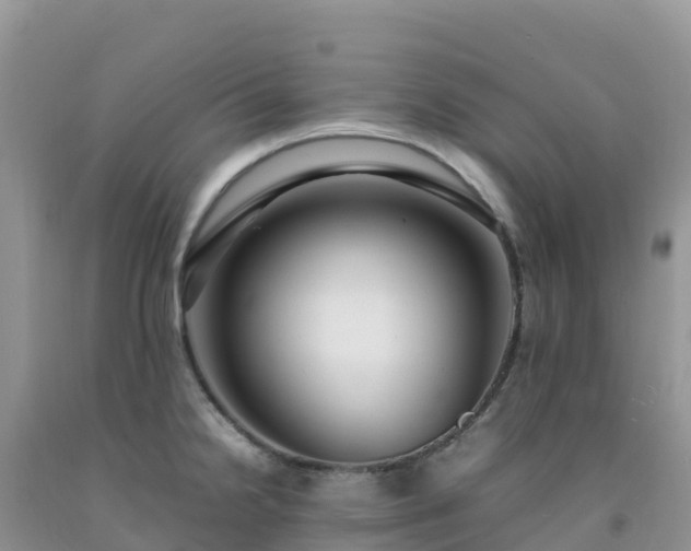 X0000092091238200709191239